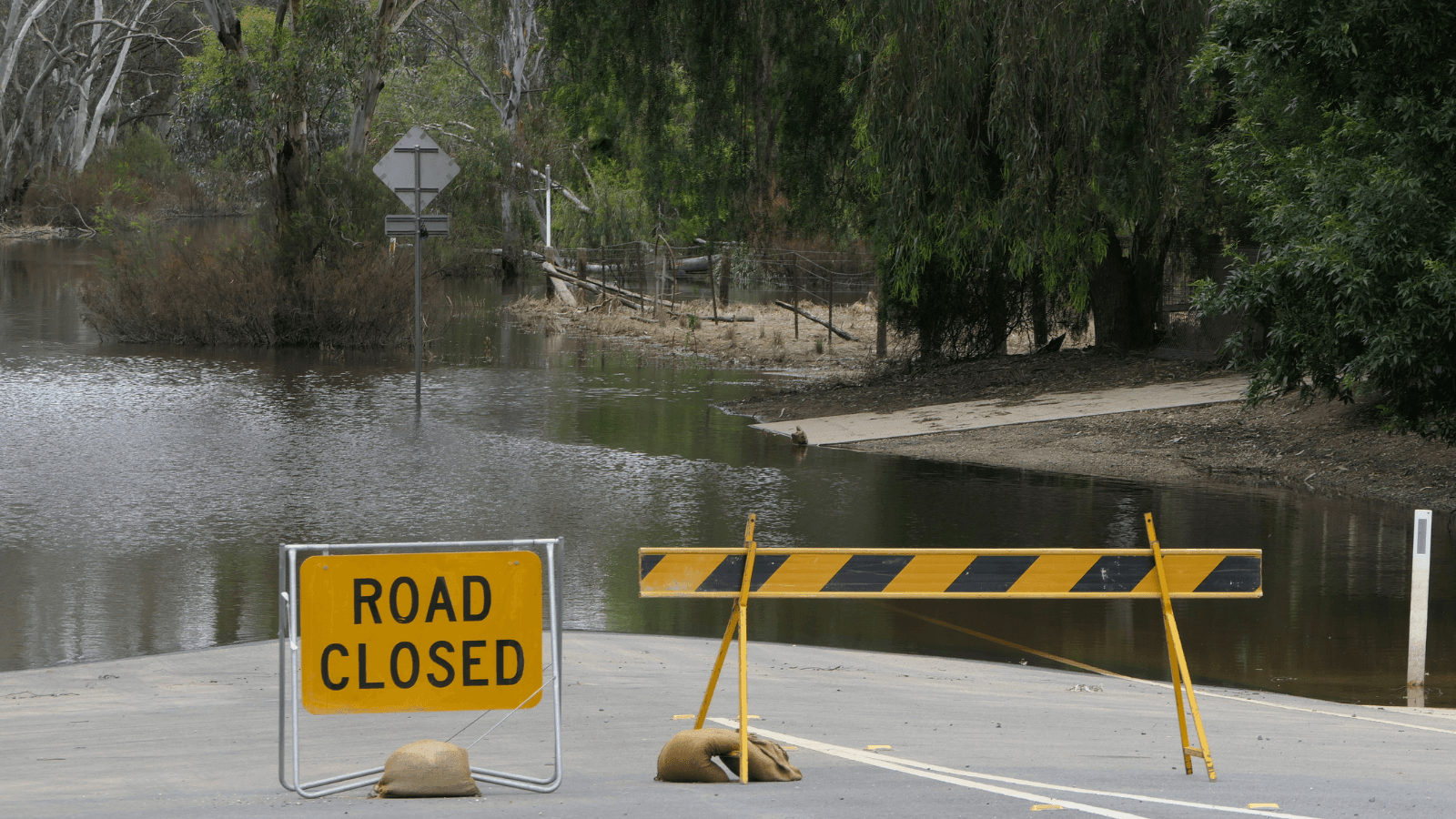 Heavy Rain and Flash Flood Risks and Tips