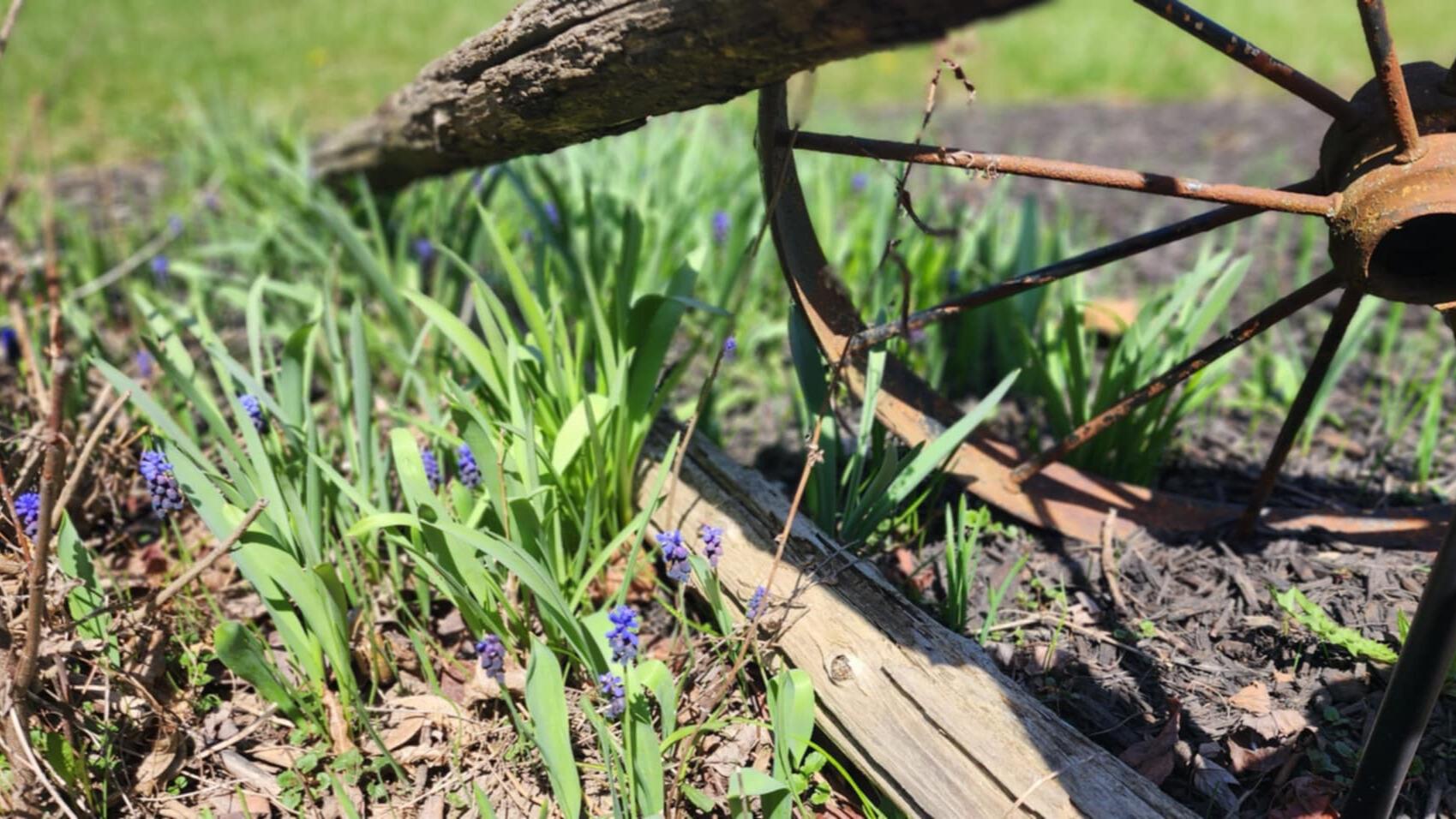 Time To Plant? Final Freeze Forecast