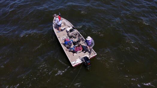 Invasive Species in Wisconsin Waters
