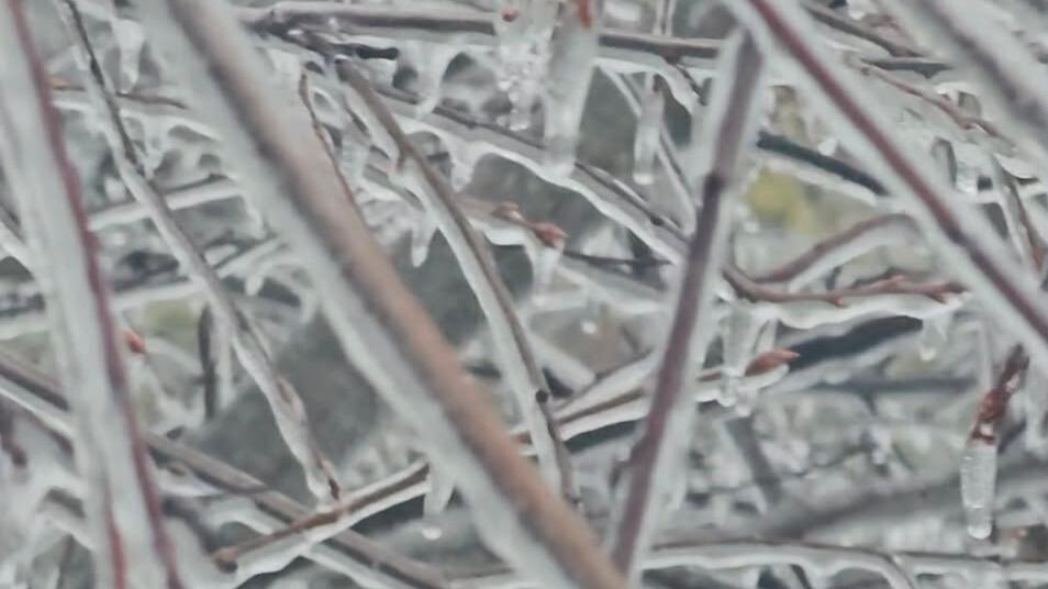 How does freezing rain and sleet form?