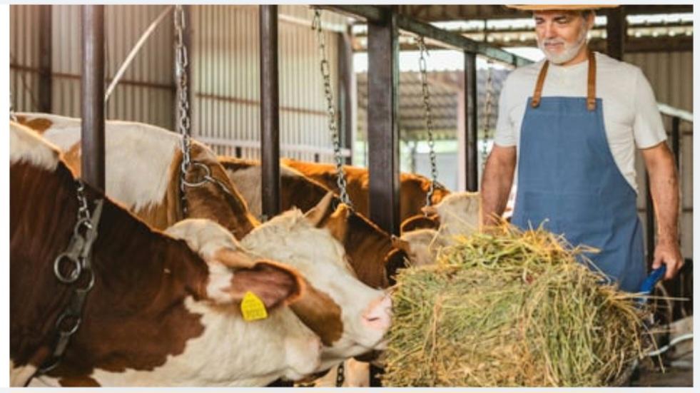 Wisconsin Authors Detail a Crisis of Family Farms Under Pressure 